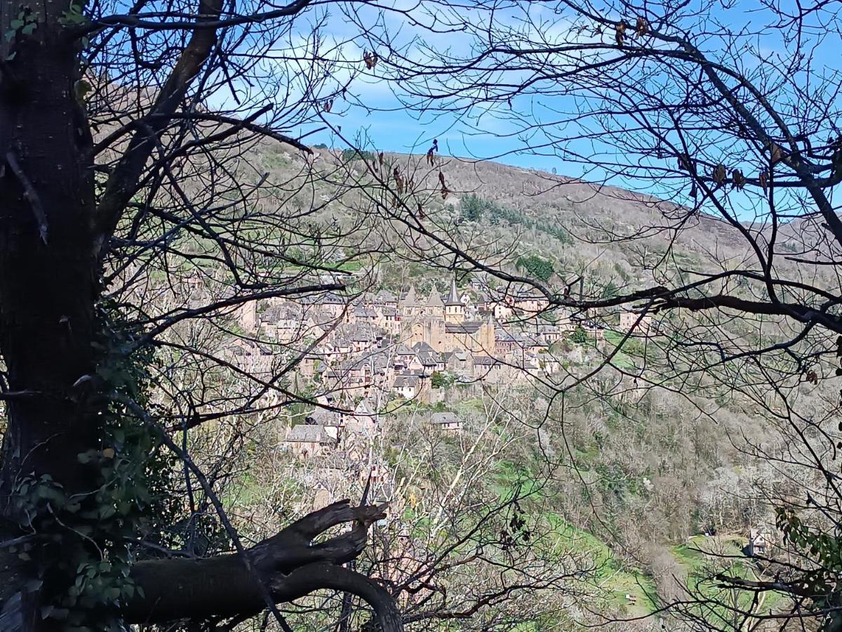 Le Castellou Bed & Breakfast Conques Bagian luar foto